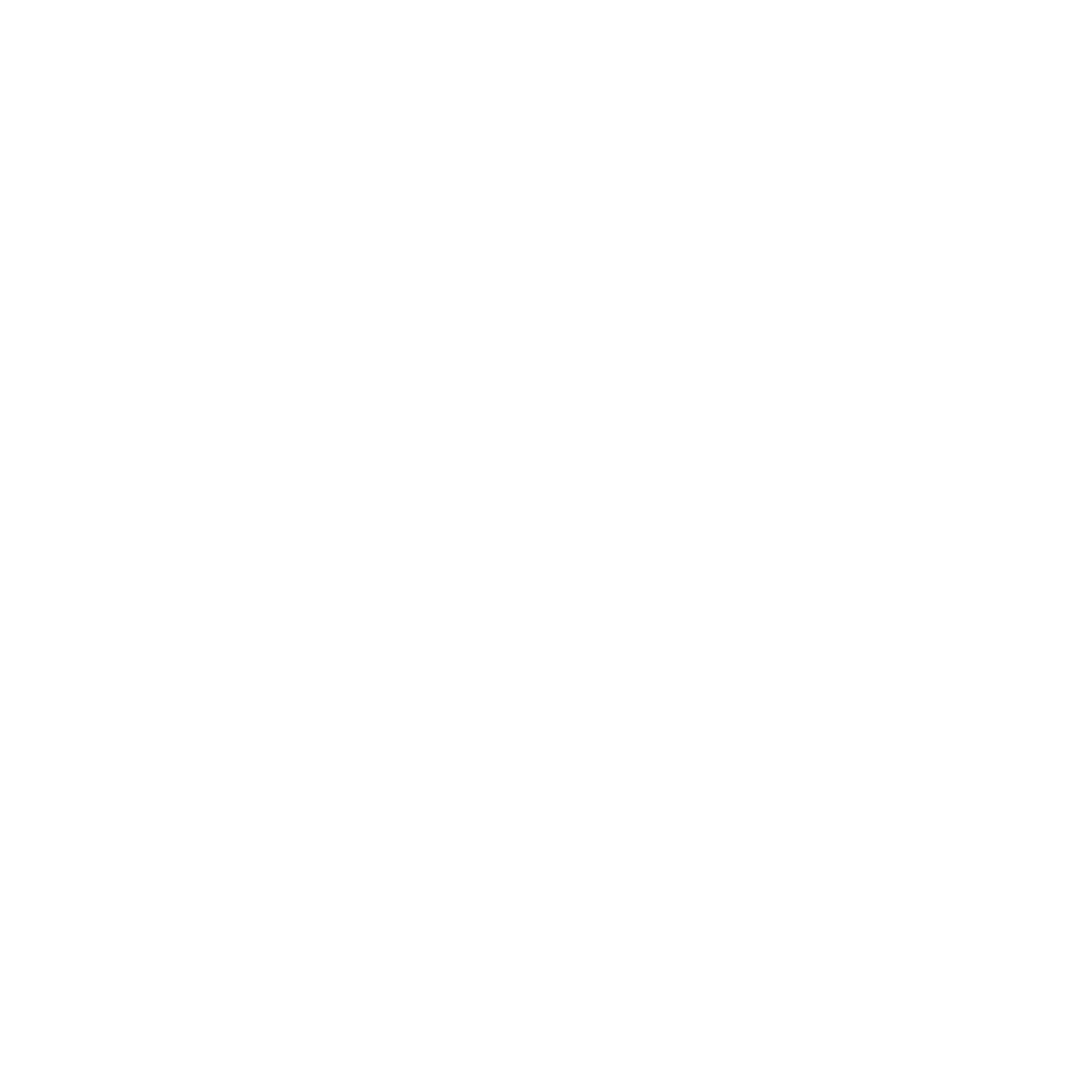 MOONCHILD LLC